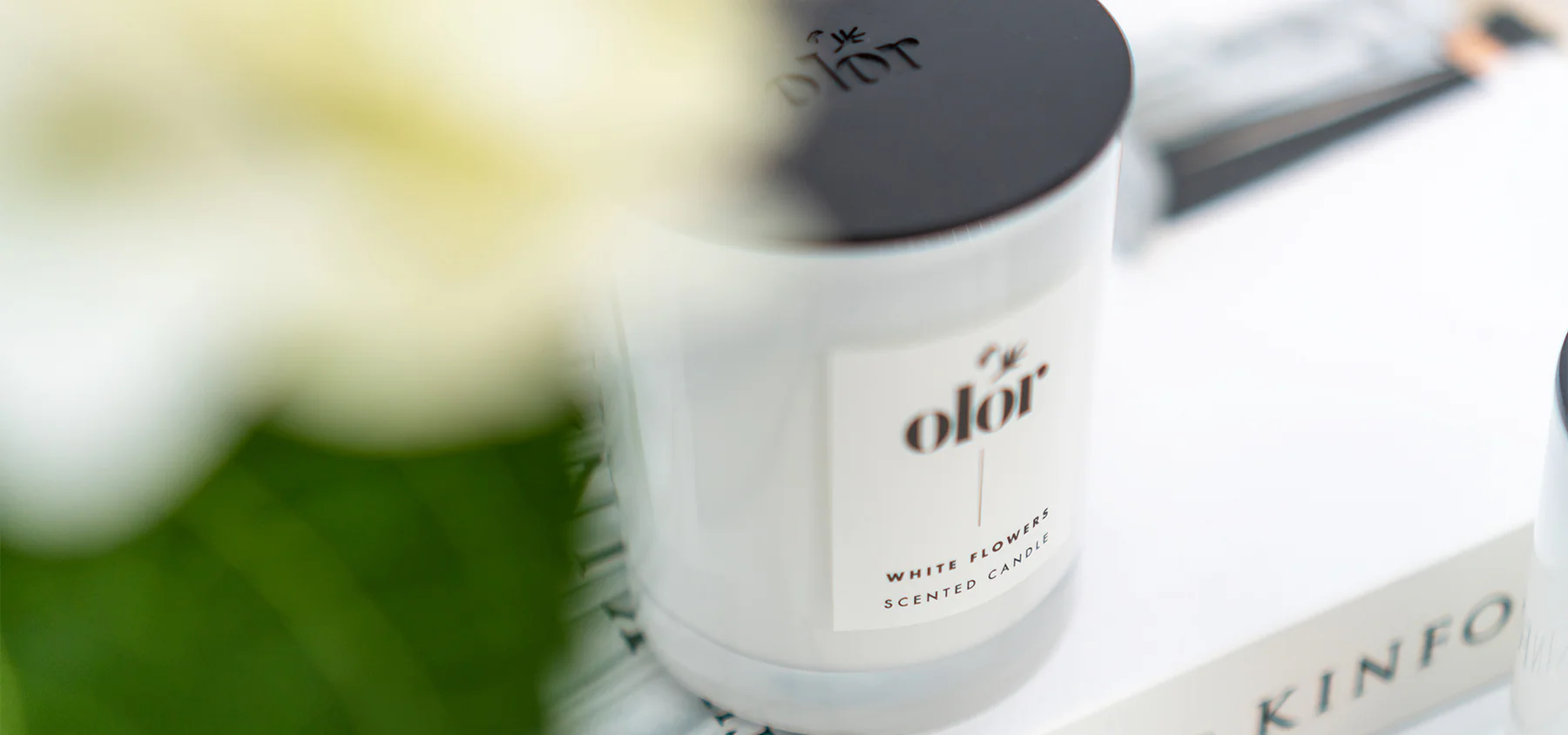 Elevate Your Space With OLOR