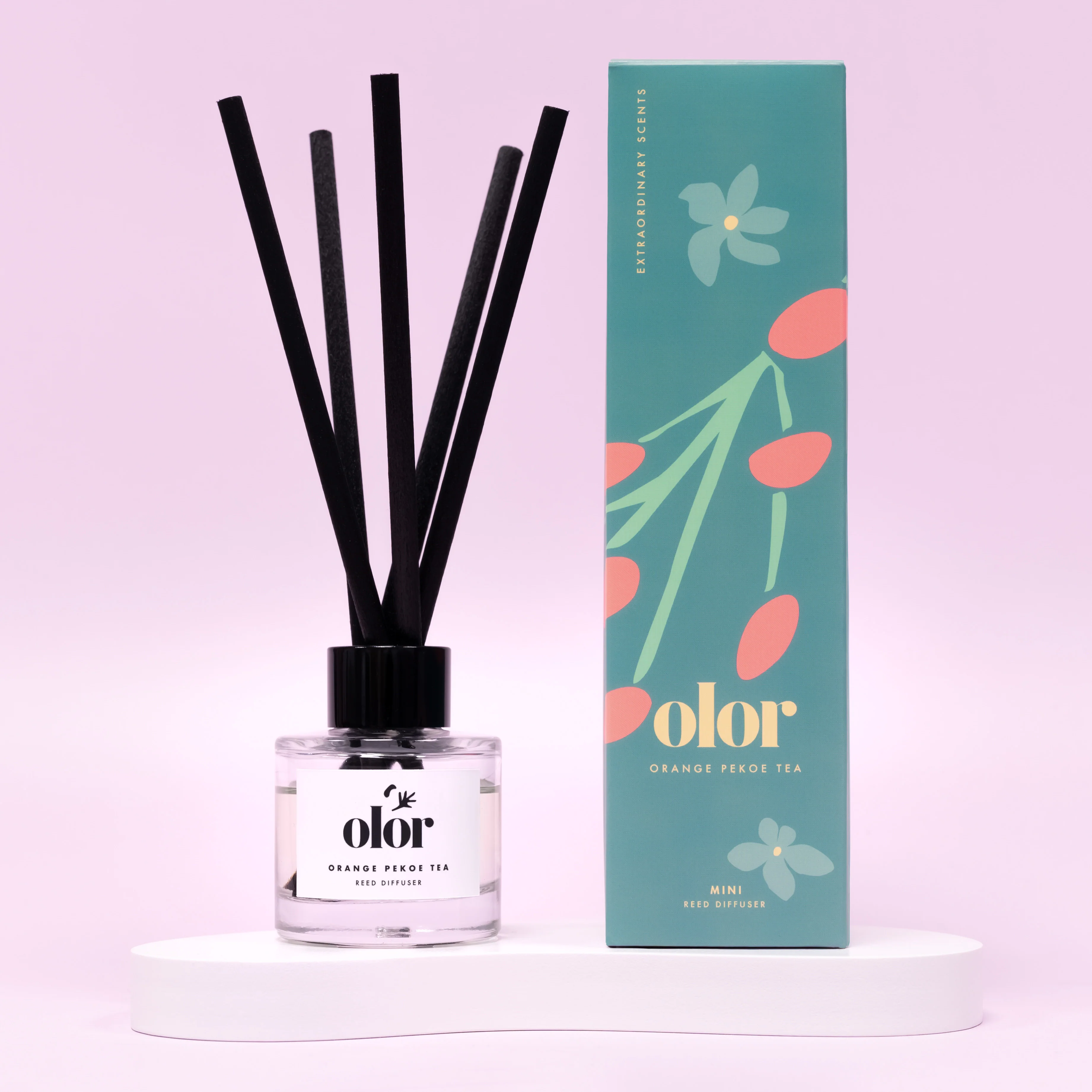 BRAND NEW FRAGRANCE COLLECTION